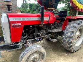 MASSEY 7250